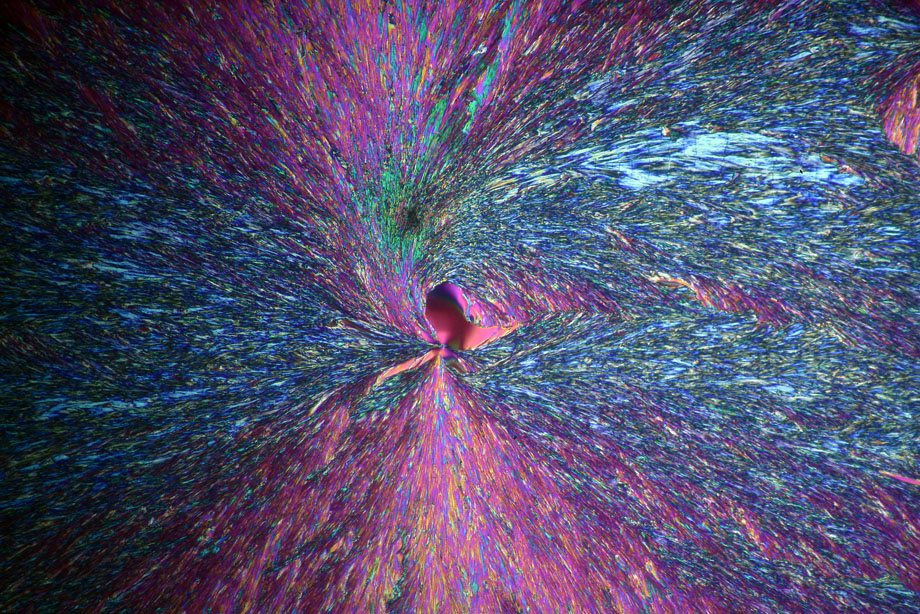 Ascorbic Acid crystals in crossed polarizers with Diaphot TMD and DIC condenser with tint-plate.